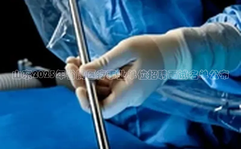 MK体育平台网页版入口