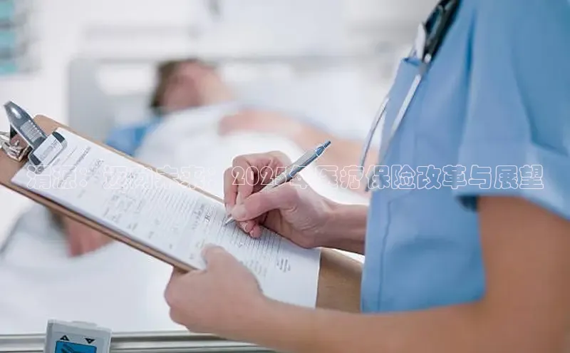 MK体育APP下载地址