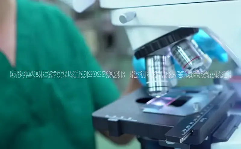 MKsport官网下载入口